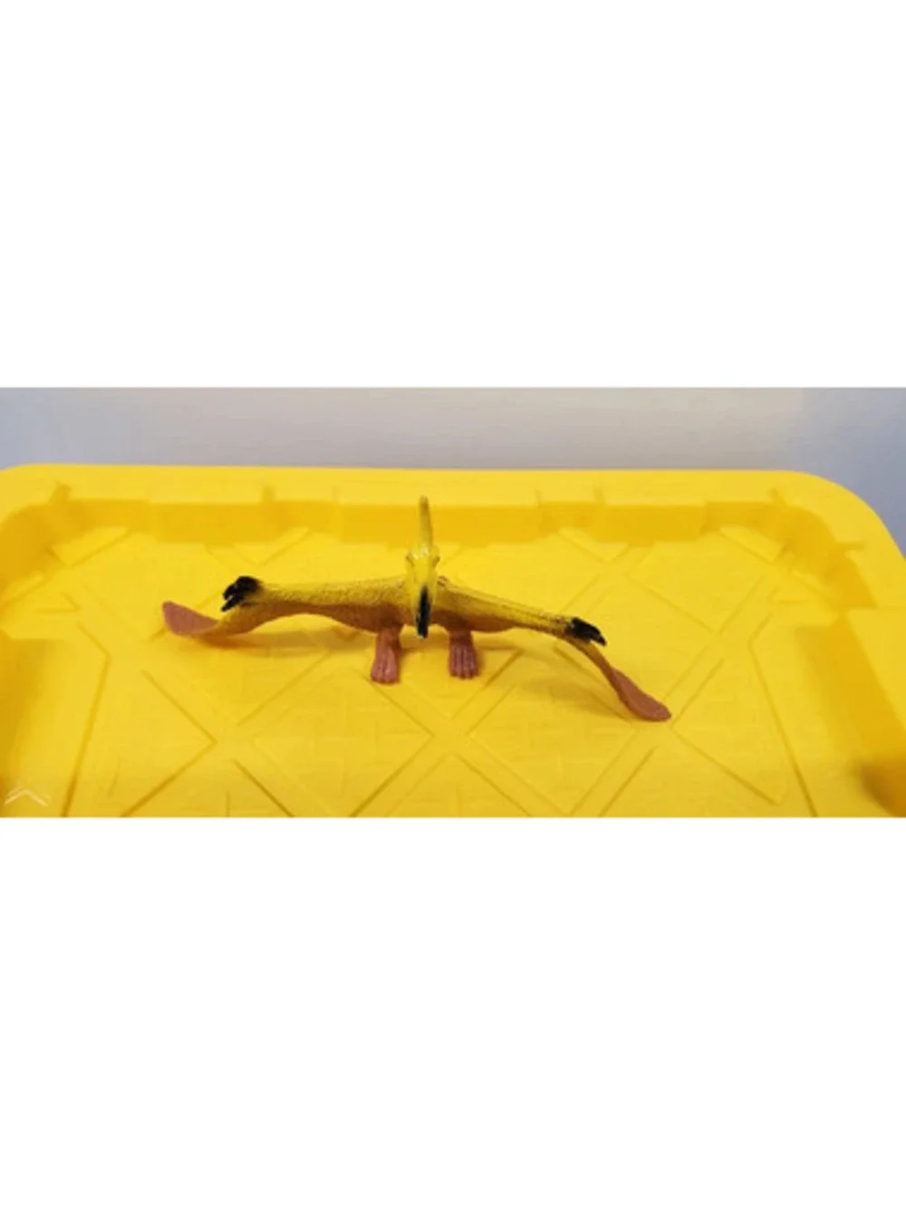 Papo Pteranodon Figure Yellow Flying Dinosaur Pterosaur Toy Figurine 55006